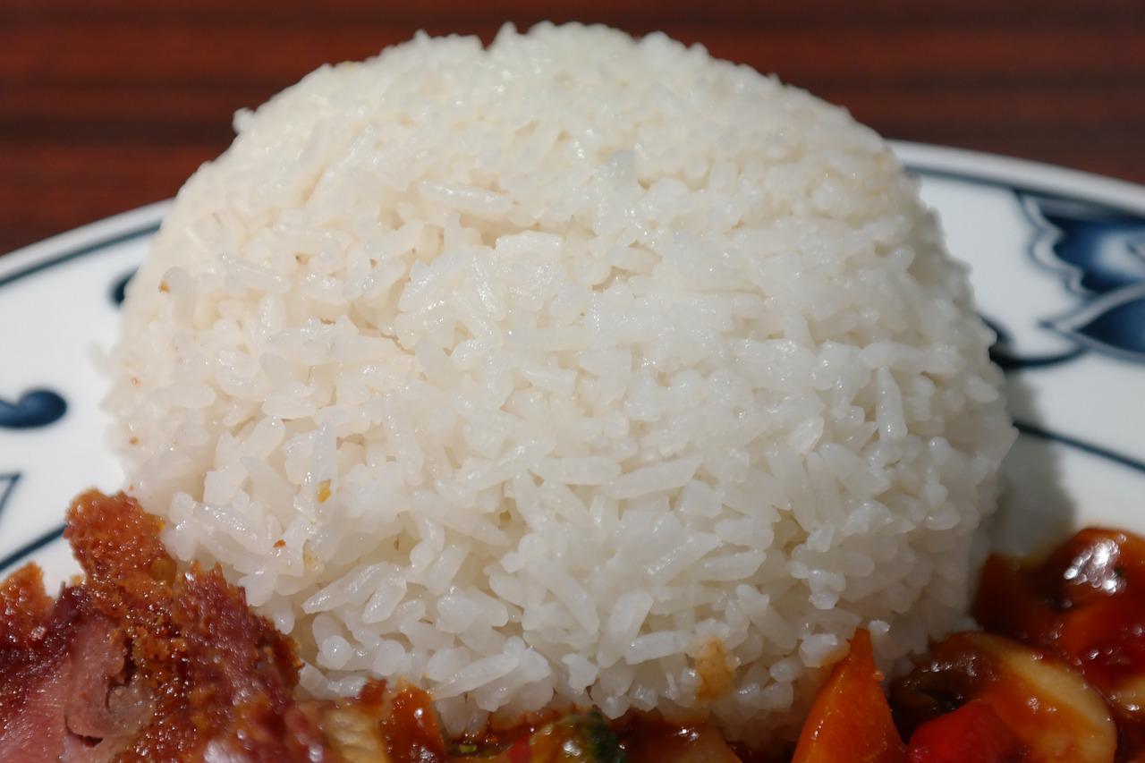 Can you freeze Rice?