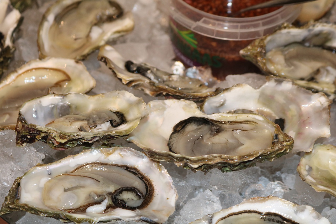 Can you freeze Oysters?